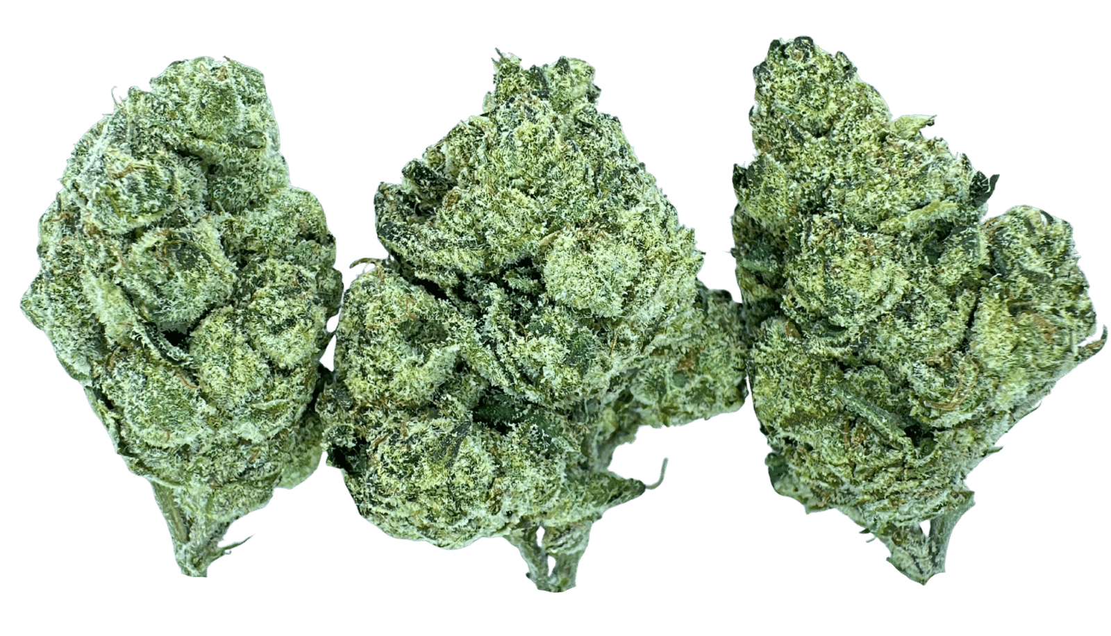 Gelato S1 | Farmlane