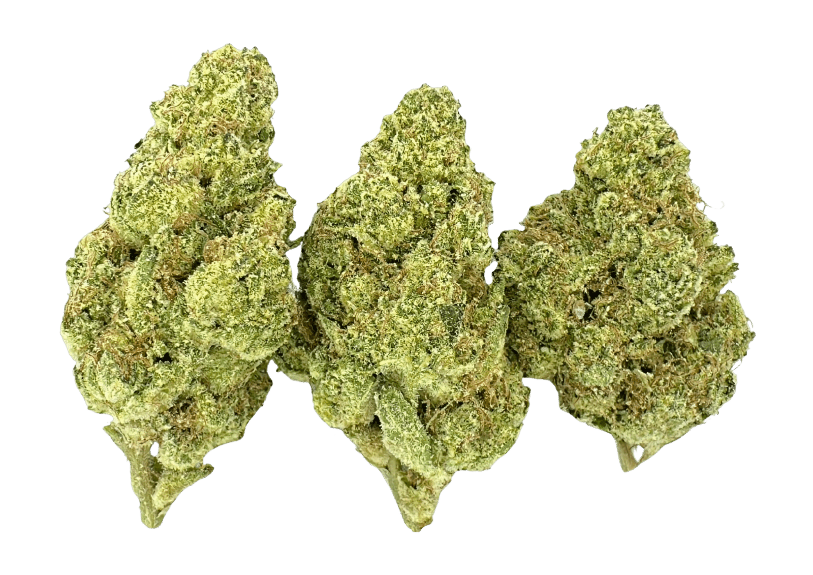White Runtz | Farmlane
