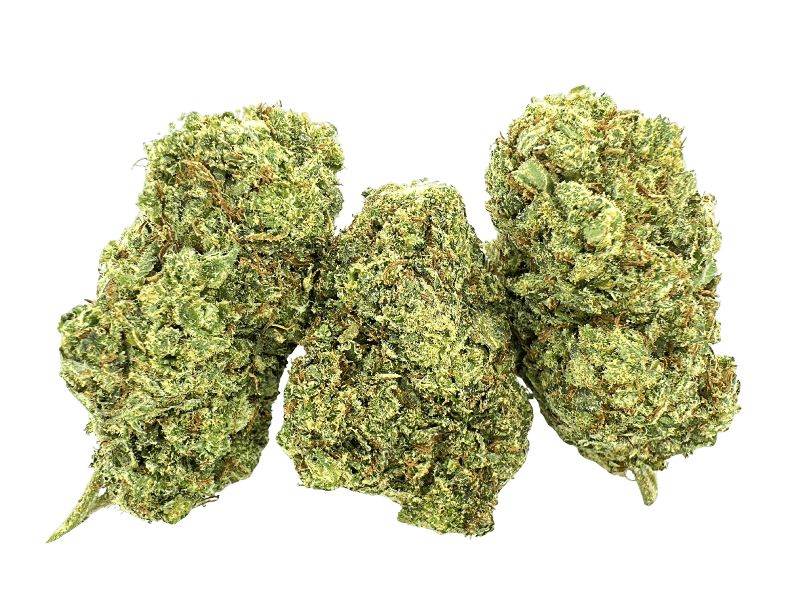 Lilac Diesel | Glass House Farms