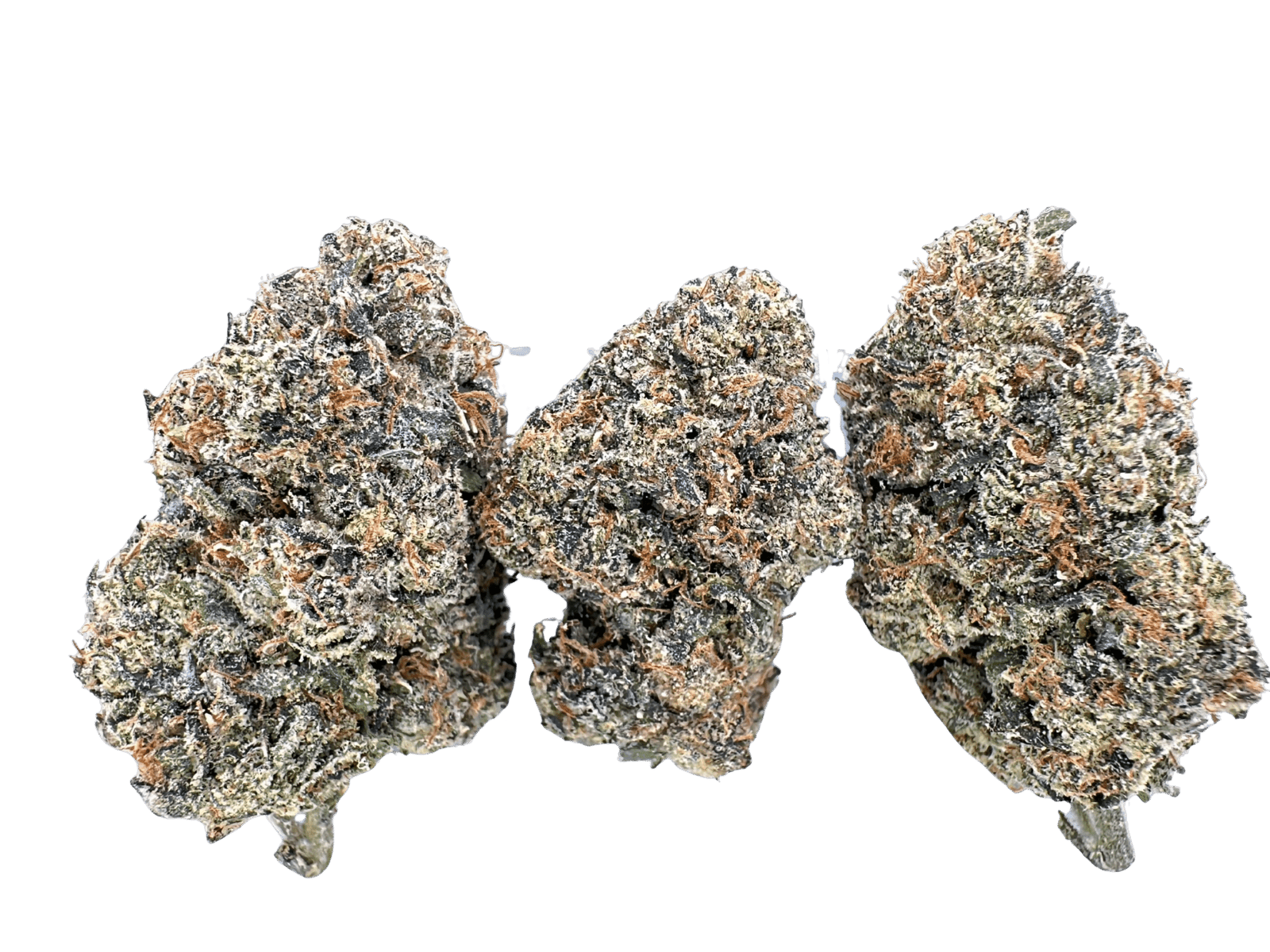 Bubble Gum Runtz | Traditional Co.