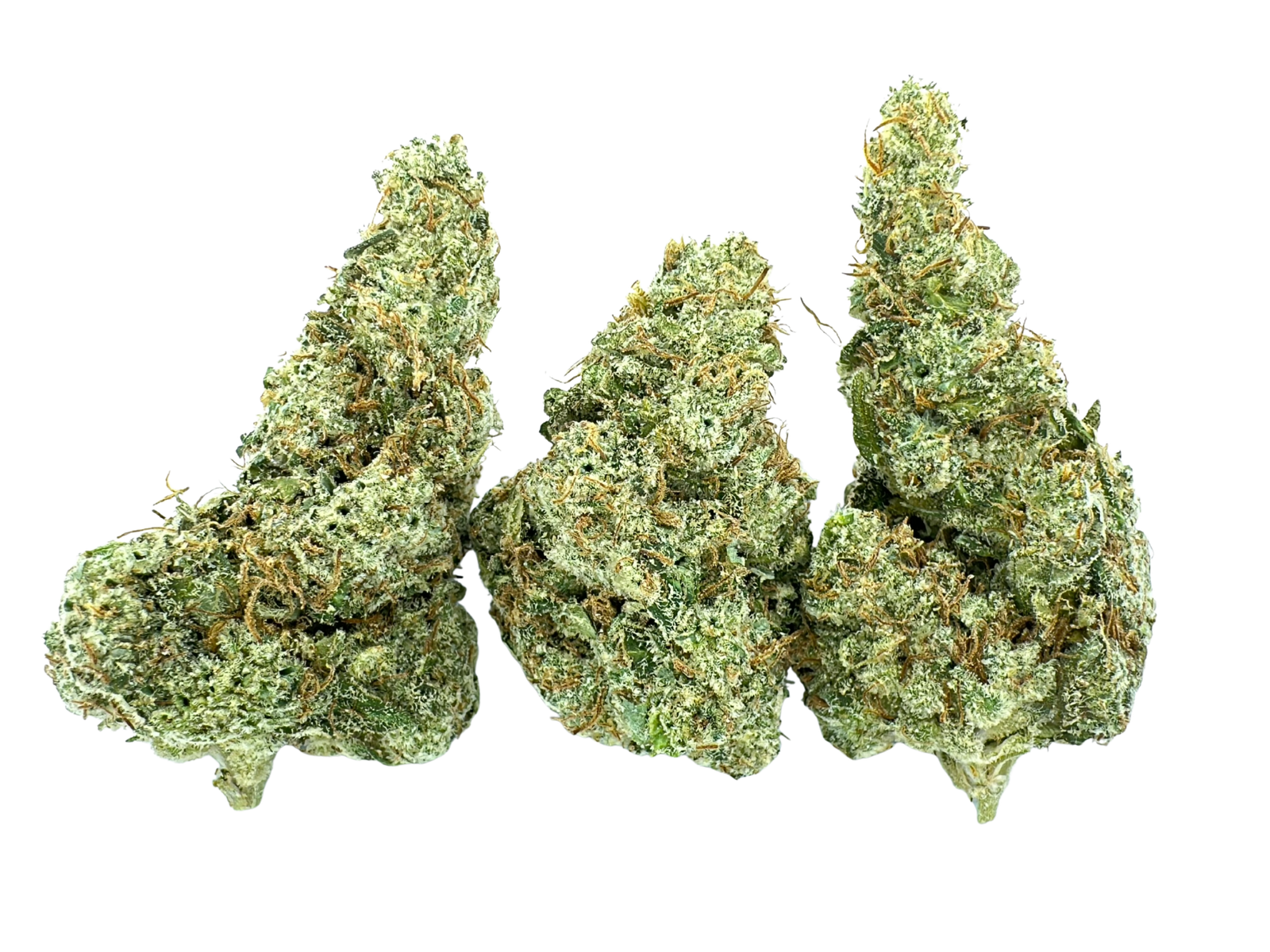 Ghost Train Haze | FloraCal