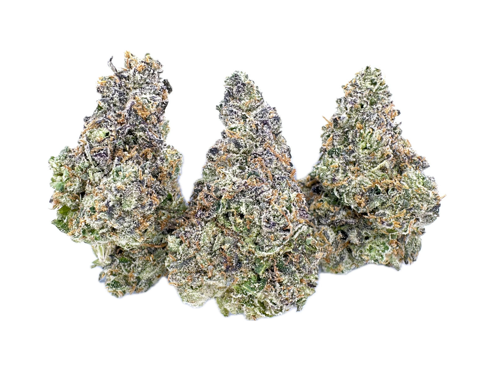 Biscotti Pippen | FloraCal