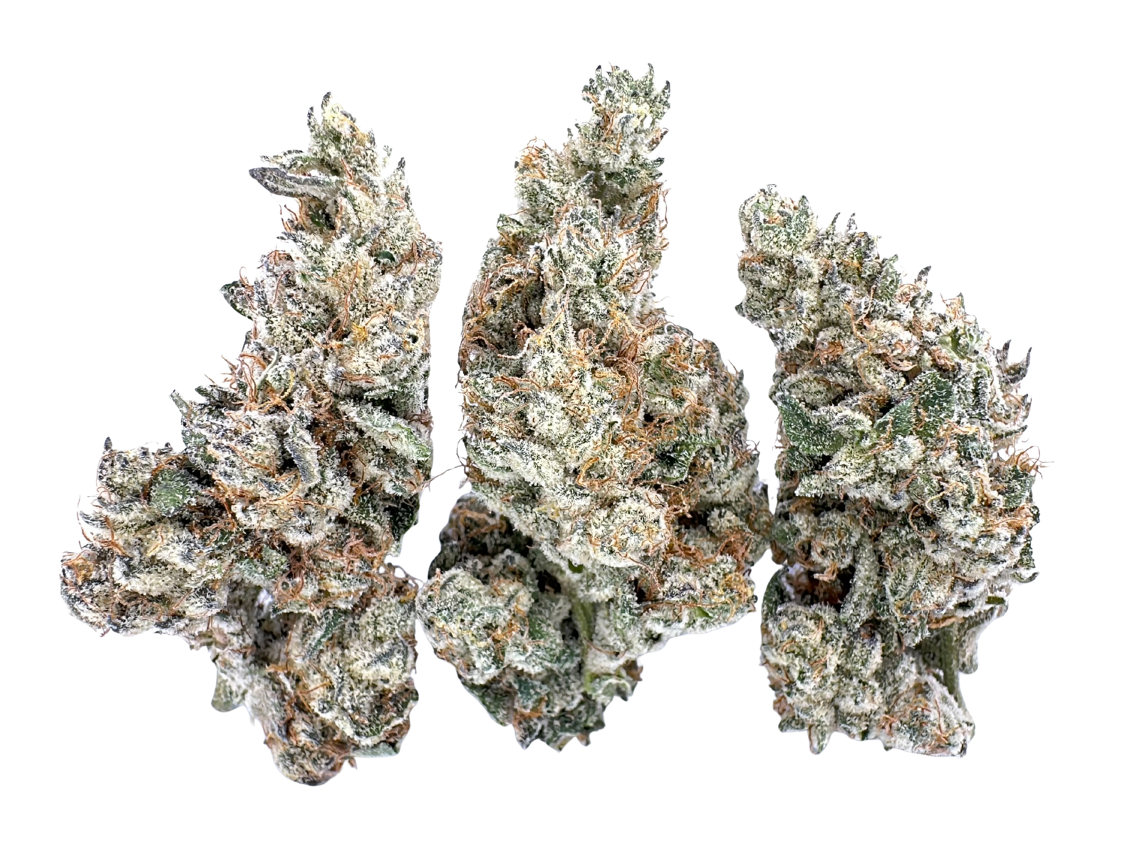 FKAFL (French Laundry) | Maven Genetics