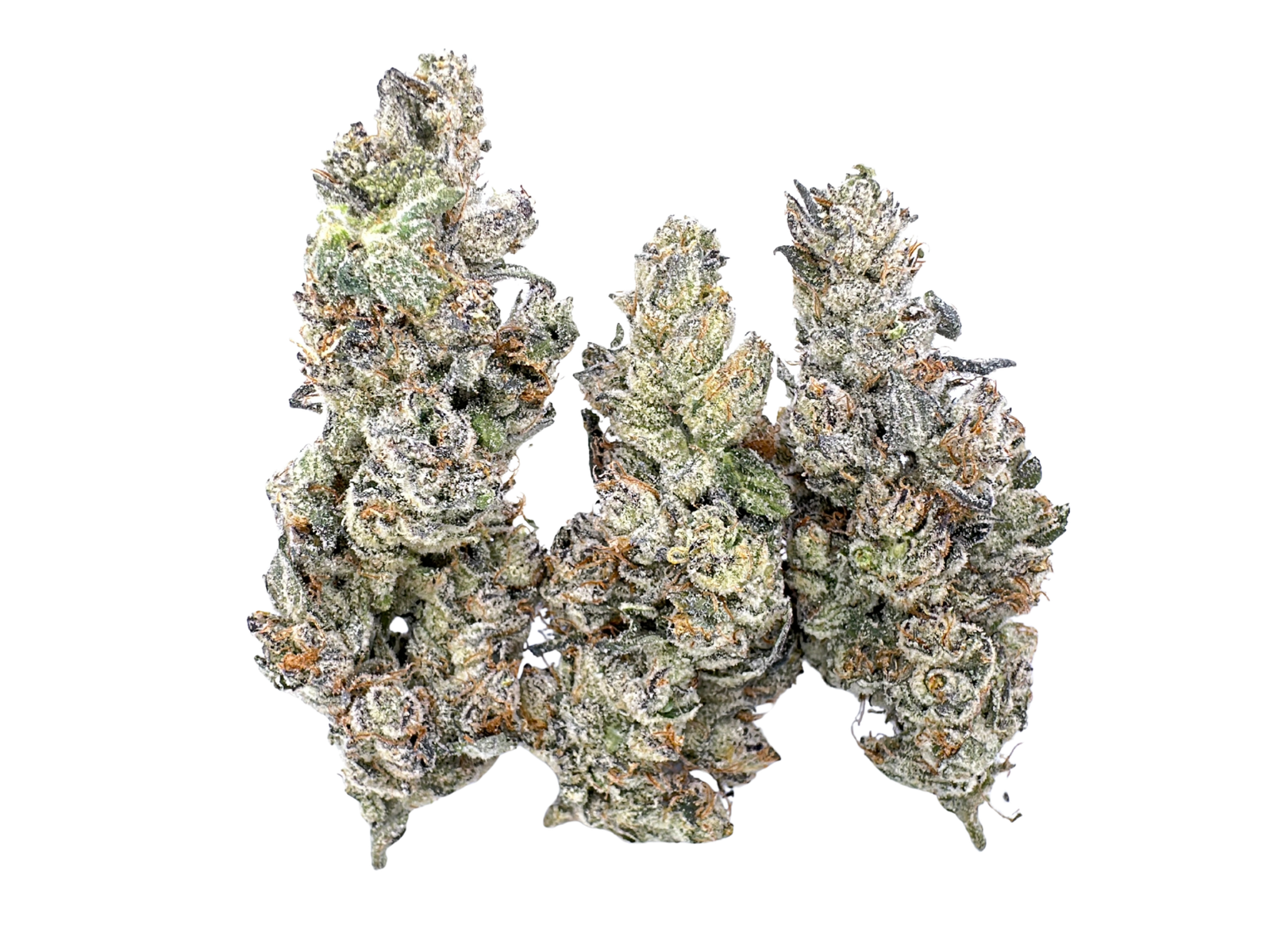 Dirty Laundry | Maven Genetics