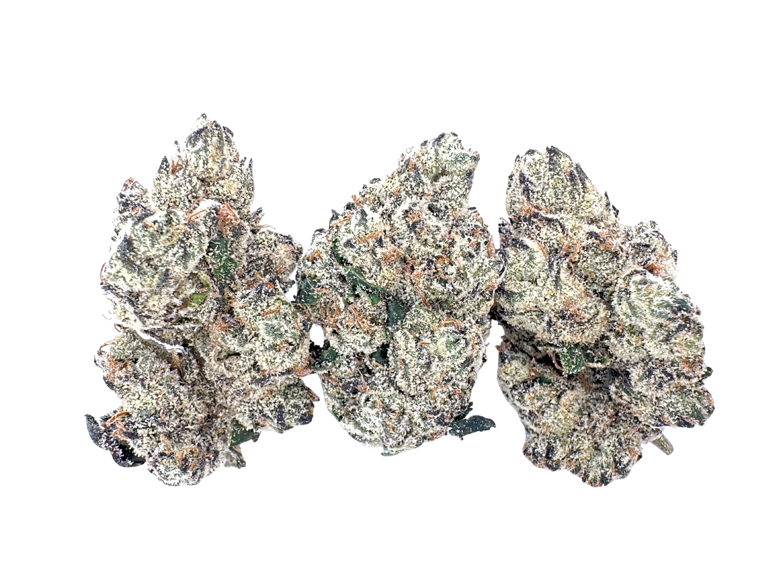 Lemon Dior | Zanomalyz