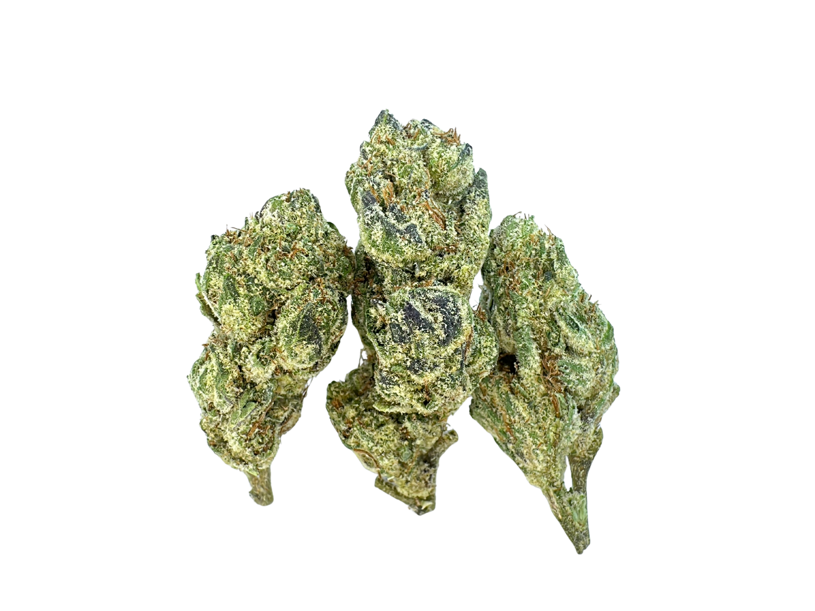 Cherry Punch | Glass House Farms