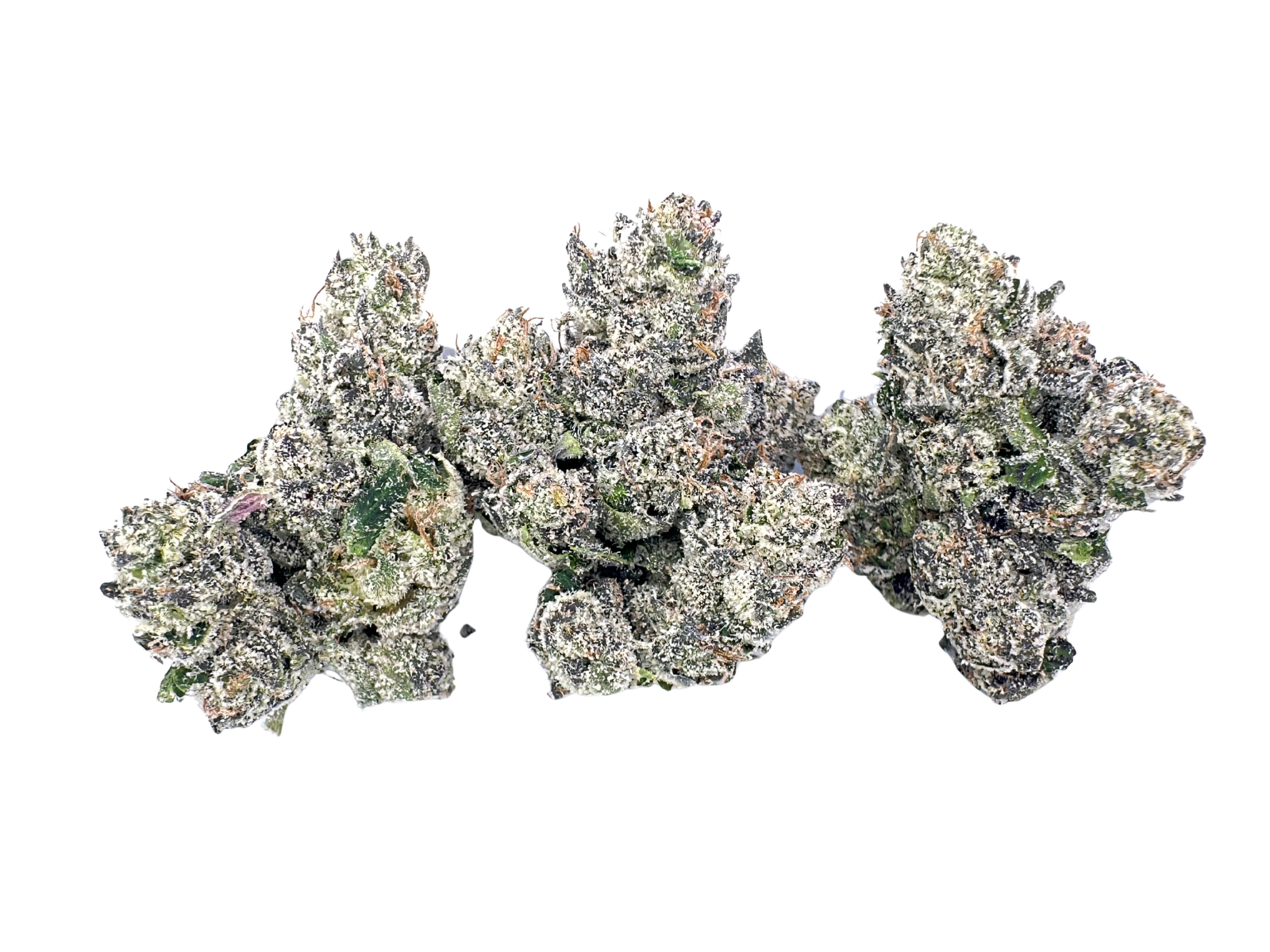 Gummy Buns | Foreign Genetics