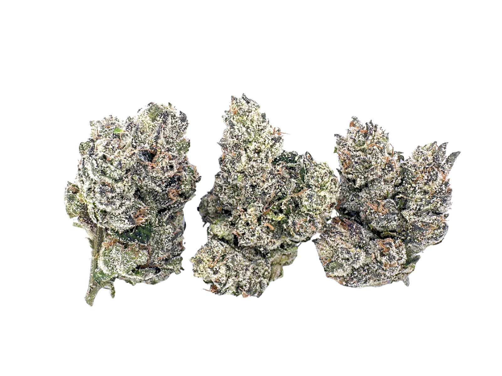 F1 (Formula One) | Foreign Genetics