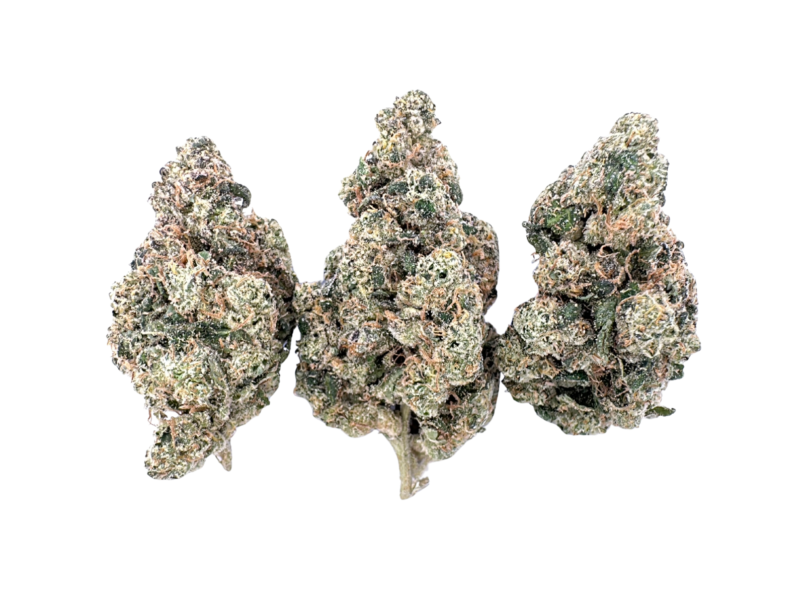 Sour Runtz | Originals