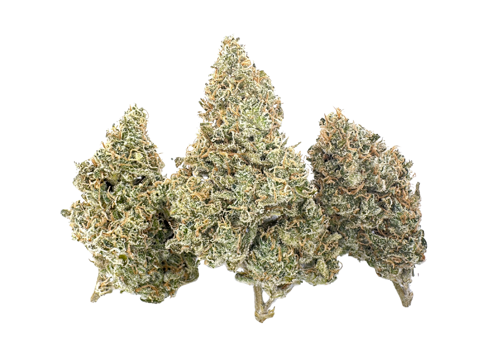 Durban Poison | CBX