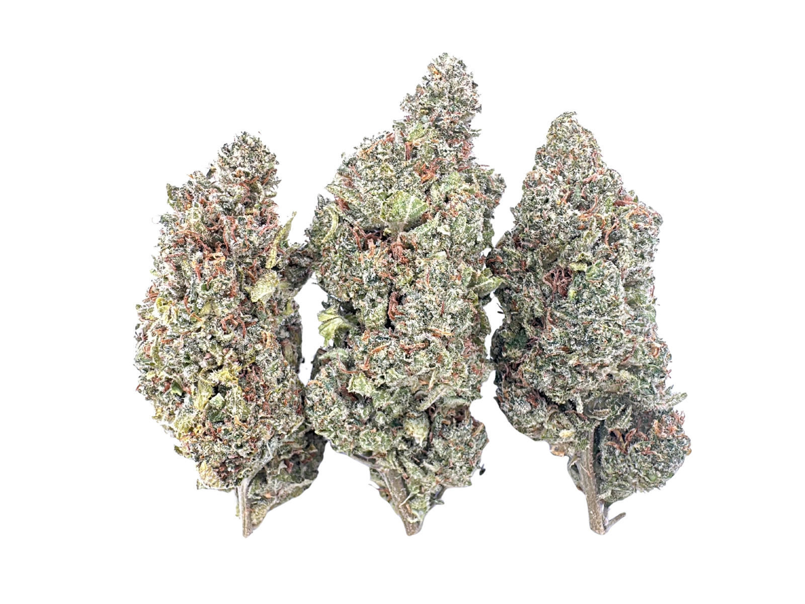 Grease Monkey