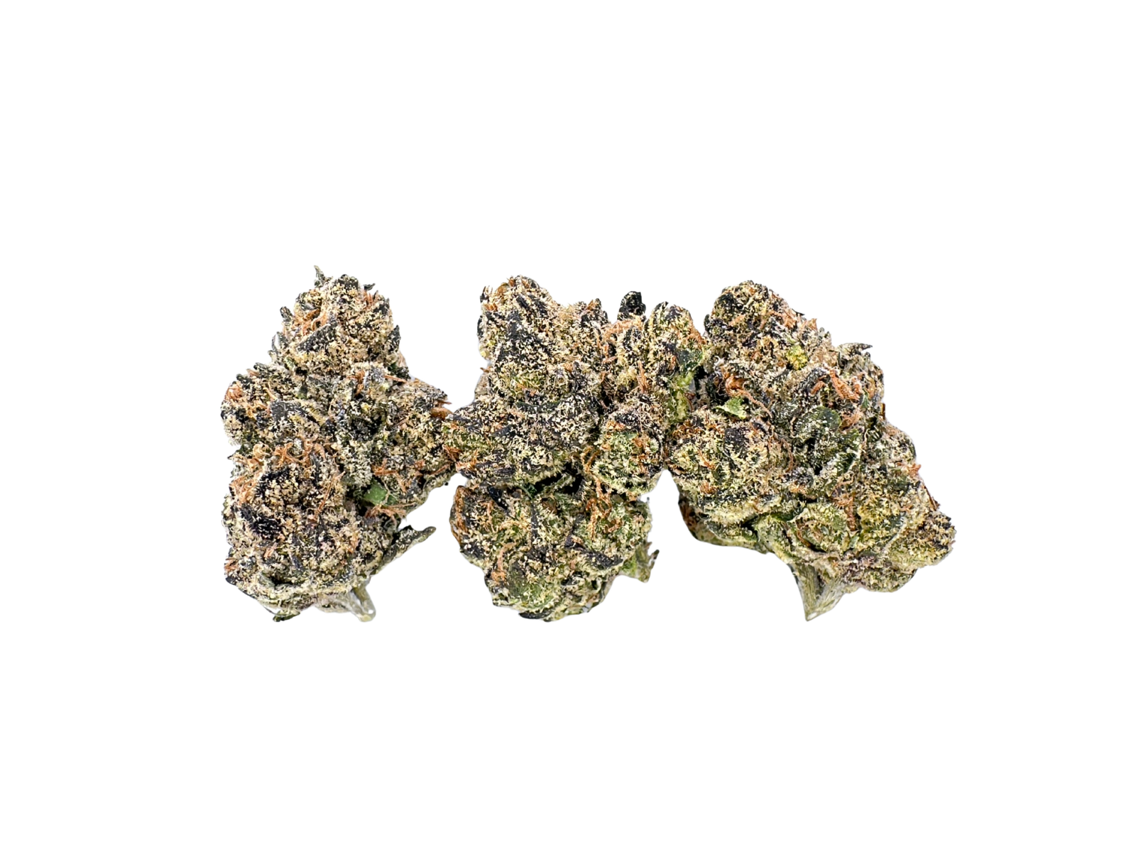 White Runtz | STIIIZY