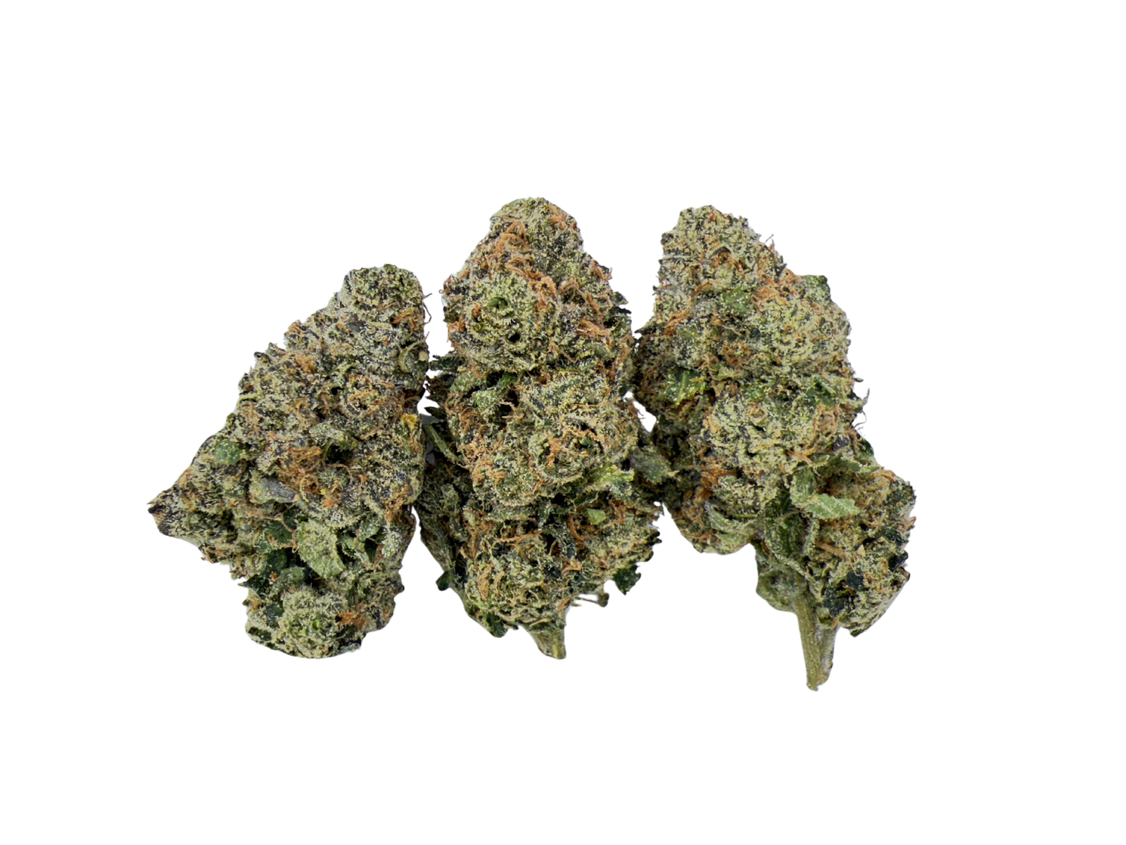 Lemon Pie | STIIIZY