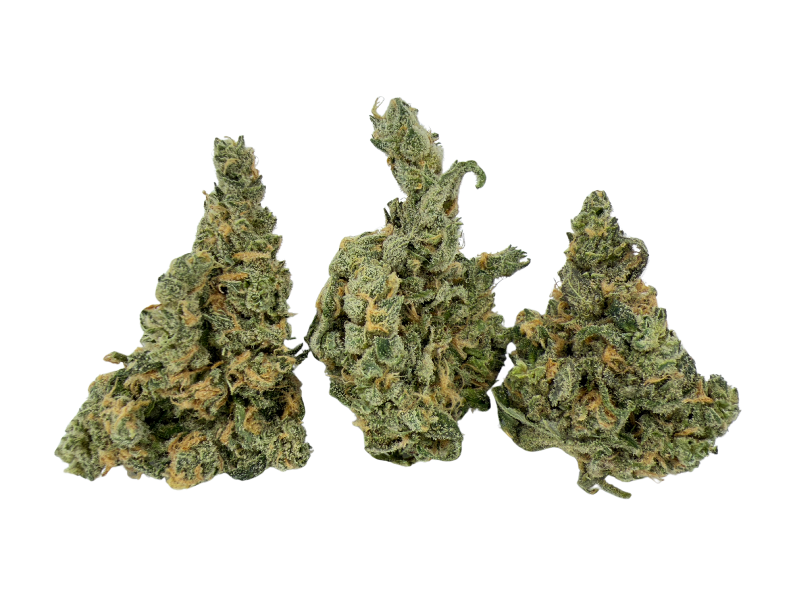 Blue Dream | STIIIZY